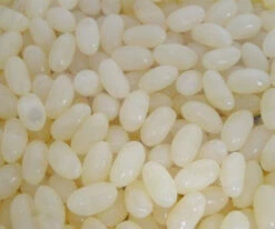 Allseps Jelly Beans - White (1kg Bag) -AU Snack Sales Store Allseps Jelly Beans White 1kg Bag close 91795.1585642690