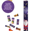 Cadbury Santa's Variety Mix (836g Tube)