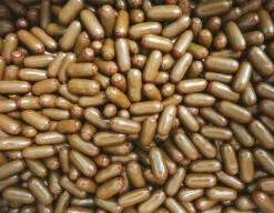 Fyna Milk Chocolate Coated Raspberry Bullets (6.5kg Box) -AU Snack Sales Store Fyna Milk Chocolate Coated Raspberry Bullets 6.5kg box close up 03777.1585642634