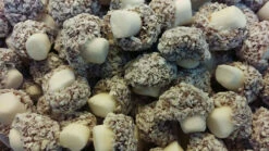 Kingsway Coconut Mushrooms (3kg Bulk Bag)