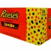 Reeses Peanut Butter Cups With Reeses Pieces (24 X 42g Pack)